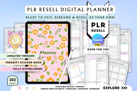 Download Rebrandable PLR Canva Planner Template - Premium Resources